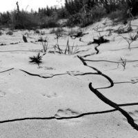 محمد (@mmmm707070) 's Twitter Profile Photo