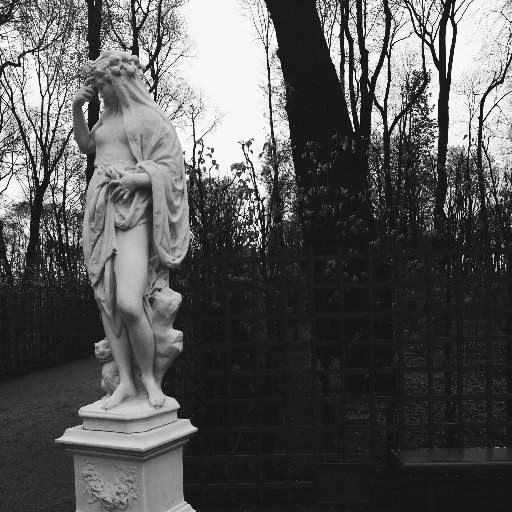 joysanddreams's profile picture. 