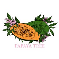 PapayaTree (@papayatreeband) 's Twitter Profile