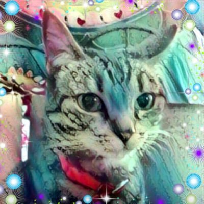 GunmetalNGrace's profile picture. Unapologetically me. Kind because I want to be. Fringe dwelling fangirl. In love with my cats. High expectations because I know we can be better people.