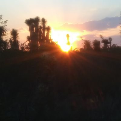 hrs_john23's profile picture. Contra Adoctrinamiento