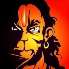 pav_sri's profile picture. Hindu|Kannadiga|Nationalist