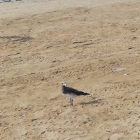 مبادل جادالعارضةزائر (@xmca8ixiutqjodn) 's Twitter Profile