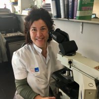 Ivonne Vázquez MD PhD MIAC (@pivonne10) 's Twitter Profile