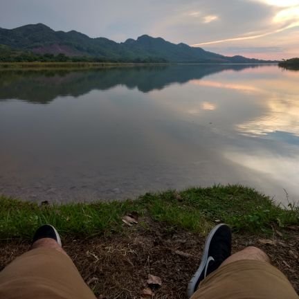 PpMurilloTorres's profile picture. 