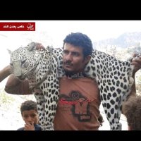 اسير الحب (@wwwrali23) 's Twitter Profile