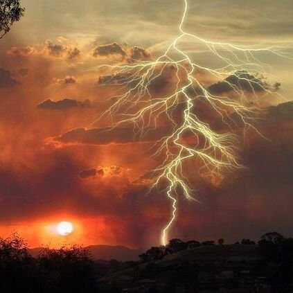 Raja59523471's profile picture. தமிழன்டா