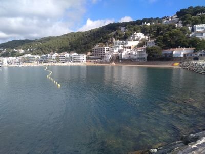 Associació que des de 1999 (fa més de 20 anys!) vetlla per la Platgeta i l'entorn natural de L'Estartit #BanyPopular #TurismeSostenible