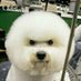 Bean (@pybbean) Twitter profile photo Bean (@pybbean) Twitter profile photo