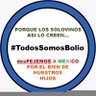 sbolio's profile picture. 