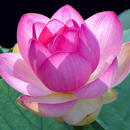 Đại Kỷ Nguyên Thời Báo theo đúng đường lối tôn chỉ của báo Anh Ngữ Nhật BáoThe EpochTimes, là tiếng nóiđộc lập thể hiện qua mạng internet và báo ấn hành định kỳ