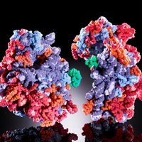 The Ban Lab (@the_ban_lab) 's Twitter Profile Photo The Ban Lab (@the_ban_lab) 's Twitter Profile Photo
