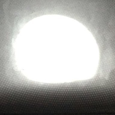 knoigethz's profile picture. 