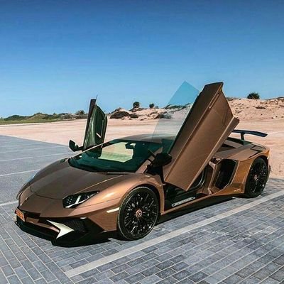 Giftm67824900's profile picture. I'm 18yaes old and I like cars