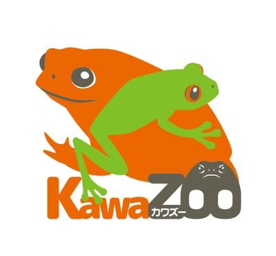 体感型カエル館KawaZooの公式Twitterです。 飼育種類数・頭数共に日本最大のカエル展示施設は静岡県河津町にあります。 KawaZooは体感型動物園iZooとの当日限りの共通入園券も販売しています。