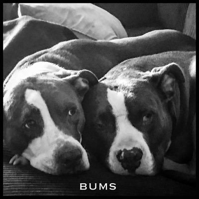 axehandle2's profile picture. Art Arts & Culture Business & Finance News Indie/Experimental Interesting Pictures News Photography Political News R&B/Soul Science Space Tech Influencers