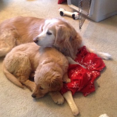 usa121798's profile picture. 