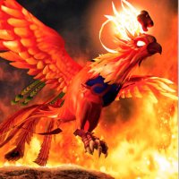 Crypto Phoenixes (@cryptophoenixe1) 's Twitter Profile
