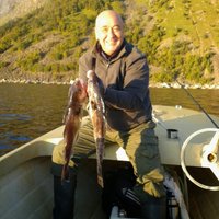 nermin škrbo (@nerminskrbo1) 's Twitter Profile Photo nermin škrbo (@nerminskrbo1) 's Twitter Profile Photo
