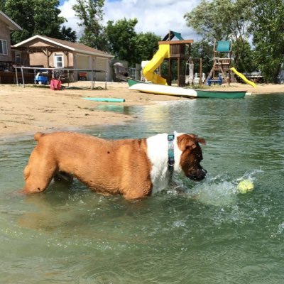 At Waldenway Canine and Kitty Camp it is our mission to provide your pet with a safe and comforting alternative to home while offering you peace of mind.