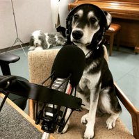 Dave White (@yukonradiodave) 's Twitter Profile Photo Dave White (@yukonradiodave) 's Twitter Profile Photo