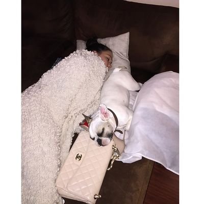 JadeTerminus's profile picture. #crypto_currency #bitcoin #etherum #litcoin. believe in crypto nation. follow me, here to double your bitcoin, expert in bitcoin mining #bitcoinfuturecurrency