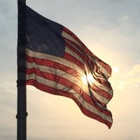 Eli Madsen (@eli95299905) 's Twitter Profile