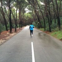 David Carney (@dabithc) 's Twitter Profile