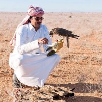 عبدالله الحول (@abalhawal) 's Twitter Profile Photo