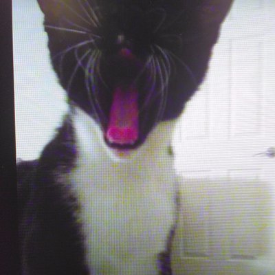 Profile Picture of Christa Michaela Gonzalez (@ChristaMichae18) on Twitter
