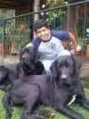 marioca26's profile picture. Family Manager suspicious dreamer good friend and very good mood great fisherman and a lover of dogs and horses.