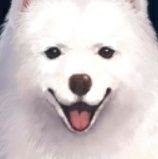 浮上頑張る王子さんのプロフィール画像