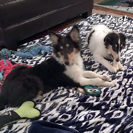 CRSorrells's profile picture. Writer, ❤️ prep sports, Laura’s favorite child, fan of Joey Batt