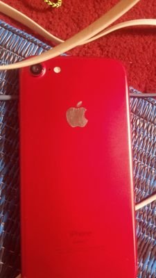 thomastnas's profile picture. 