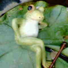 Keroama1's profile picture. 