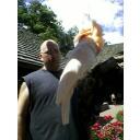 Derek Blanton - @dkblanton - Twitter