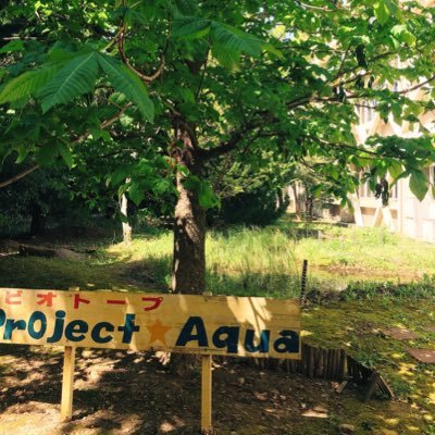 Project☆Aquaの公式アカウントです。 ビオトープを作成・管理しています😊✨新メンバー募集中です!!学部学科問いません😌🌸興味のある方はDM等でご連絡下さい🍃🍃#埼玉大学 #ビオトープ #理科 #環境 #生態系 #ボランティア