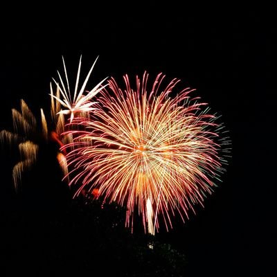 tuka61219136's profile picture. 