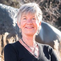 Lesley Smith (@lesleyforcu) 's Twitter Profile