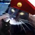 Mischief (@mischiefmoggy1) Twitter profile photo Mischief (@mischiefmoggy1) Twitter profile photo