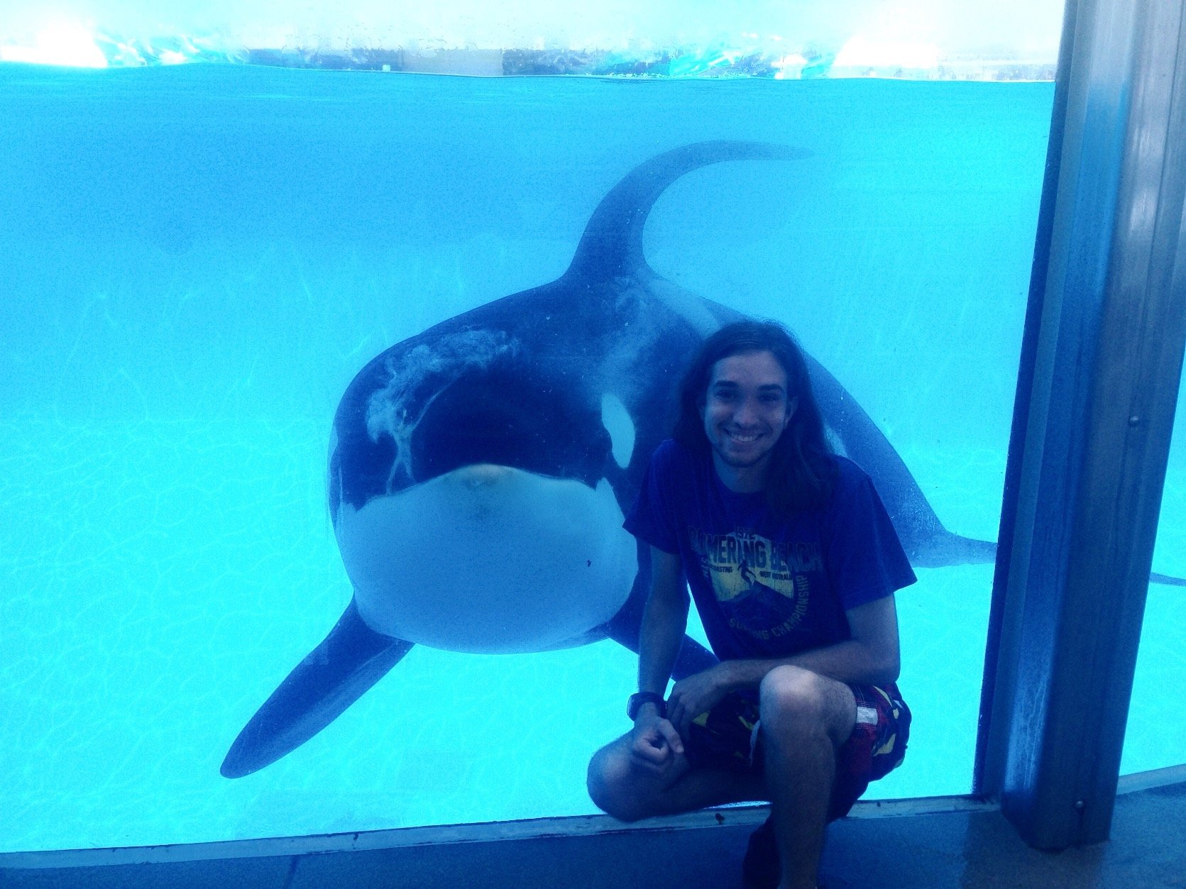A guy who loves dolphins and whales. My dream is to become a trainer at SeaWorld.