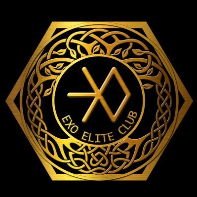 e·lite -- [əˈlēt,āˈlēt] (noun) -- a select part of a group that is superior to the rest in terms of ability or qualities, A.K.A. EXO & EXO-Ls.✨ [@WWEXOL]