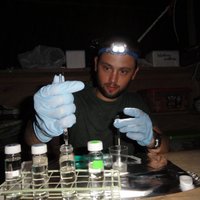 Omer Nevo (@onevo_evolecol) 's Twitter Profile Photo Omer Nevo (@onevo_evolecol) 's Twitter Profile Photo