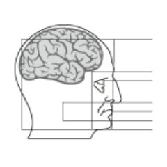 Max Planck UCL Centre for Computational Psychiatry