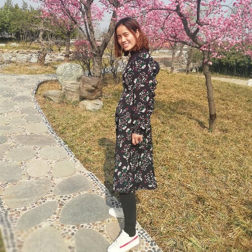 Hebei Debay Import & Export Trading Co.,Ltd focus on the felt products including Wool Felt, Polyester Felt, Felt bags, Felt Crafts and Felt Decorations