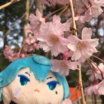tsetseg(ツェツェグ)と申します。とっくの成人済で、30↑。刀剣乱舞の沼にズボズボしています。 左文字沼は尊い!ツイフィ作成しました→ https://t.co/kV569JMnhr