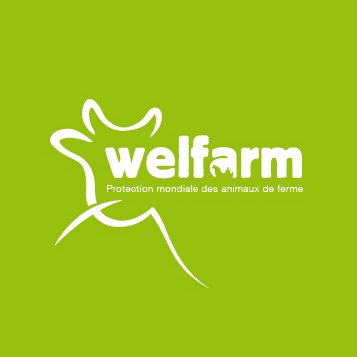 @Welfarm agit depuis 30 ans pour améliorer le bien-être des #animaux d'élevage à toutes les étapes de leur vie : élevage, transport, abattage.