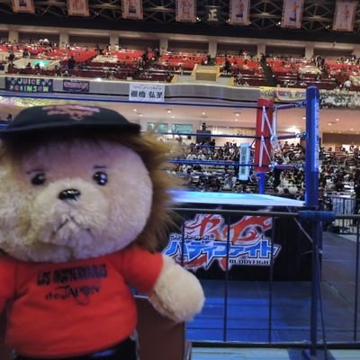 新日本プロレス箱推しですが
内藤哲也選手を１番に応援してます。
内藤さんばかり撮ってしまう、｢撮り鉄｣ならぬ｢撮り哲｣です📷️😅(内藤哲也選手より認定済み)
選手の皆さんへの💬多めなので、ご了承ください(フォロバ消極的、返信遅め🙇注:半世紀以上の歳です)
写真の保存🆗
ご本人様以外の転載NGでお願いします。