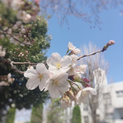 haaaaaruka0330's profile picture. 