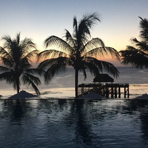 RUNNING_bv's profile picture. 